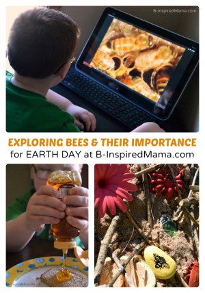 http://b-inspiredmama.com/wp-content/uploads/2014/04/Why-Are-Bees-Important-Play-Learning-Ideas-for-Earth-Day-at-B-Inspired-Mama-300x428.jpg