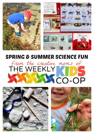 http://b-inspiredmama.com/wp-content/uploads/2014/05/Spring-Summer-Science-for-Kids-+-The-Weekly-Kids-Co-Op-Link-Party-at-B-Inspired-Mama-300x428.jpg