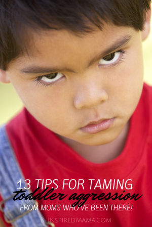 13 Tips for Taming Toddler Aggression - From the Mouths of Moms - at B-Inspired Mama