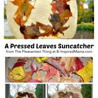 Press Leaves for a Fall Suncatcher at B-Inspired Mama