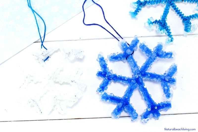 A photo of a preschool ornament craft incorporating science learning, featuring blue and white pipe cleaner snowflake ornaments covered in Borax crystals.
