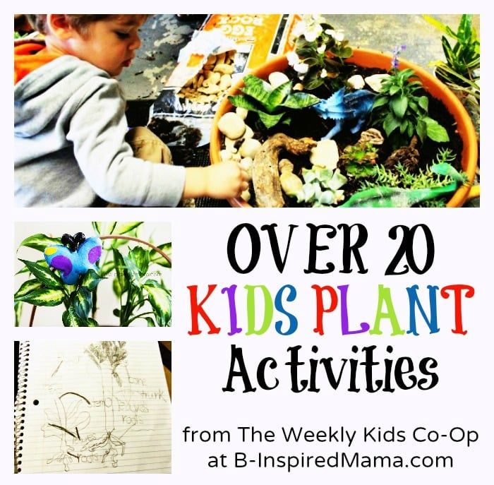 Kids Plant Activities