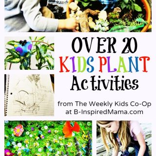 20+ Kids Plant Activities and Plant Crafts from The Weekly Kids Co-Op at B-InspiredMama.com