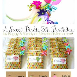 Bird Theme Party Ideas from Buggy and Buddy at B-InspiredMama.com