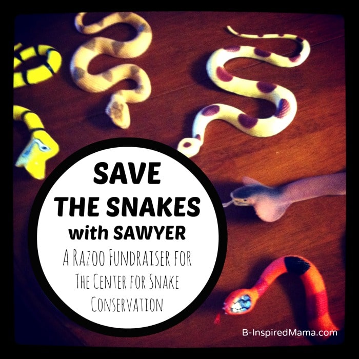 Save the Snakes with Sawyer Serving Learning Project at B-InspiredMama.com