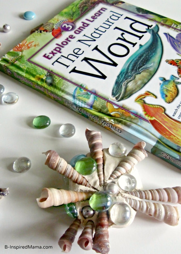 A Sensory Seashell Craft for Kids at B-InspiredMama.com