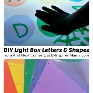 Homemade Kids Light Box Manipulatives from And Next Comes L at B-Inspired Mama