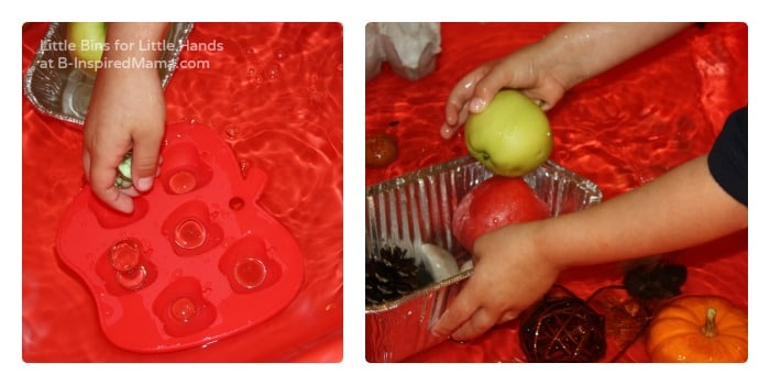 Experimenting with Sink or Float in a Preschool Science Activity at B-Inspired Mama