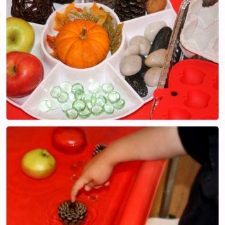 A collage of 2 photos of a child doing a Fall Sink or Float Preschool Science Experiment using various Autumn-themed found objects and a sensory bin of water.