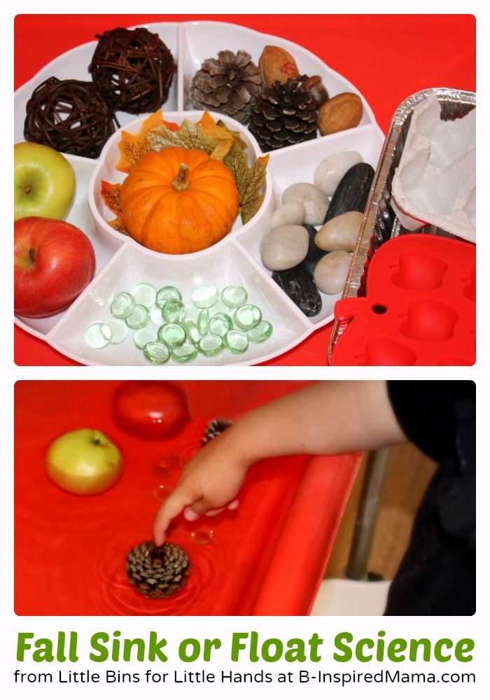 Fall Sink or Float Preschool Science Activity at B-Inspired Mama