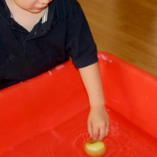 A child doing a Fall Preschool Sink or Float Experiment with various Autumn-themed objects like apples in a bin of water.