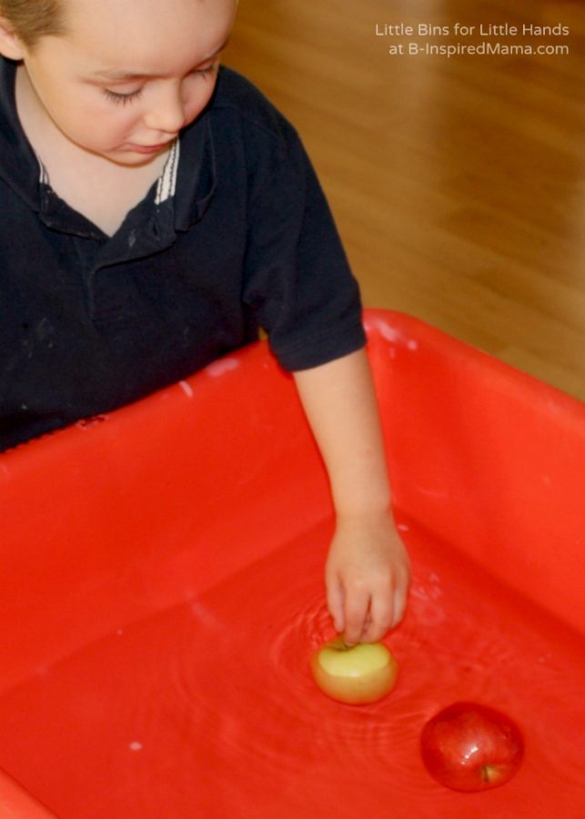 A child doing a Fall Preschool Sink or Float Experiment with various Autumn-themed objects like apples in a bin of water.