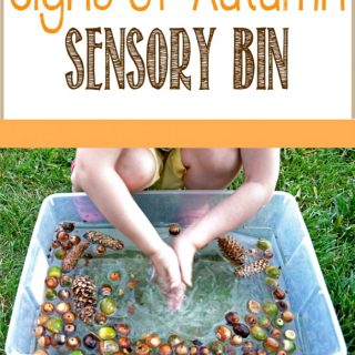 Signs of Autumn Sensory Bin for Kids at B-Inspired Mama