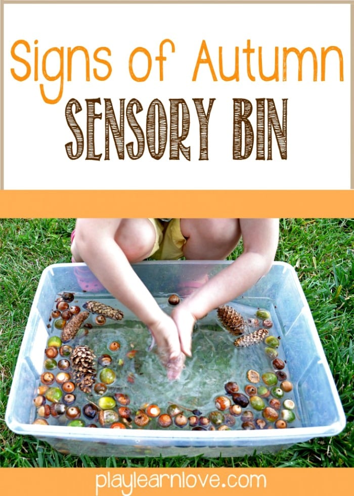 Signs of Autumn Sensory Bin for Kids at B-Inspired Mama