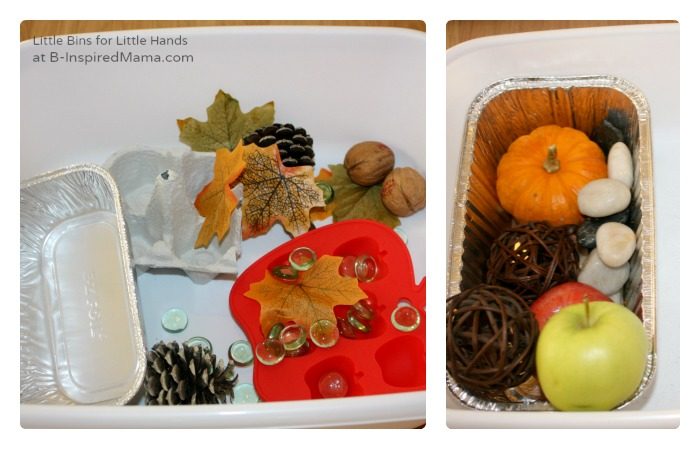 A collage of 2 photos of the supplies for a Fall Preschool Sink or Float Experiment including plastic bins and Autumn-themed objects like leaves, pine cones, apples, and mini pumpkins.
