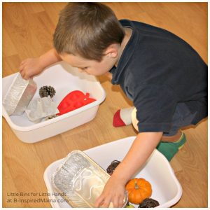 Sorting Objects for a Fall Preschool Science Activity at B-Inspired Mama