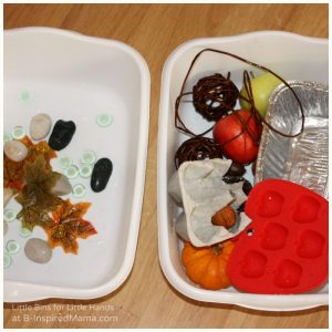 Sorting What Sinks and What Floats for a Fall Preschool Science Activity at B-Inspired Mama