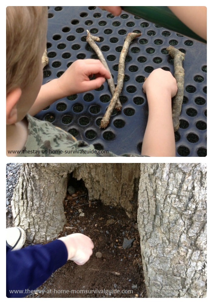 Exploring Trees with Nature Activities for Kids at B-Inspired Mama