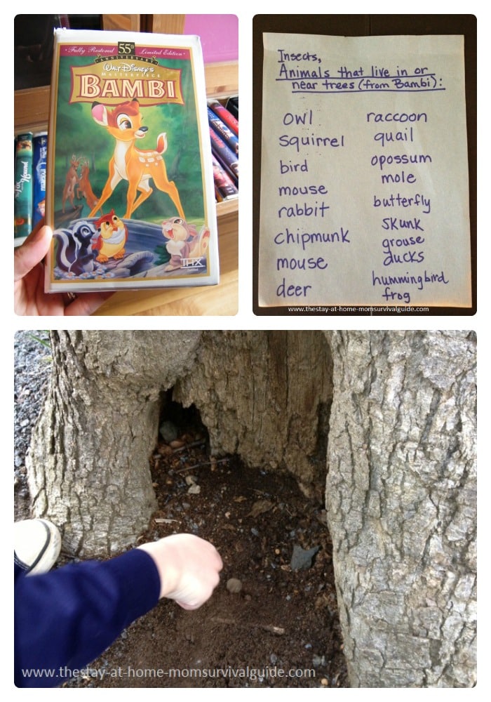 Nature Activities for Kids About Trees and Tree Animals at B-Inspired Mama