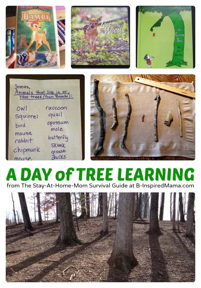Nature Activities for Kids All About Trees at B-Inspired Mama