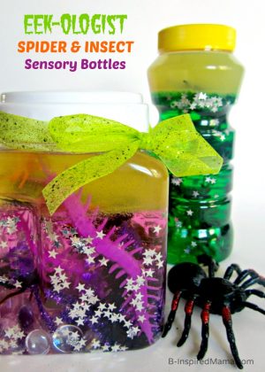 Sensory Bottles of Spiders and Insects for Kids at B-Inspired Mama