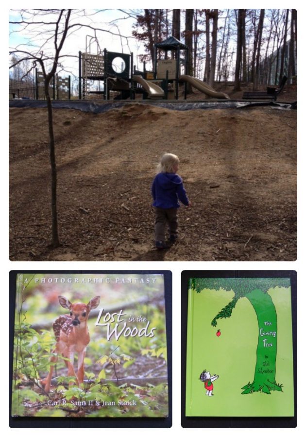 Themes Tree Activity A Day of Fun Tree Themed Nature Activities for Kids