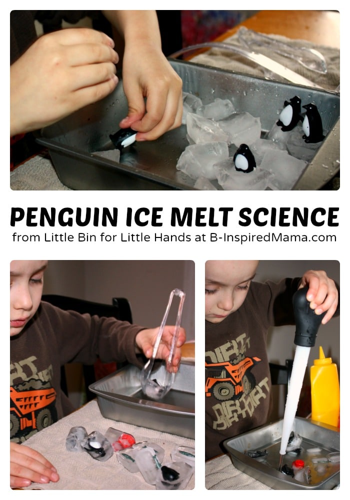 Penguin Ice Melt Science for Kids at B-Inspired Mama