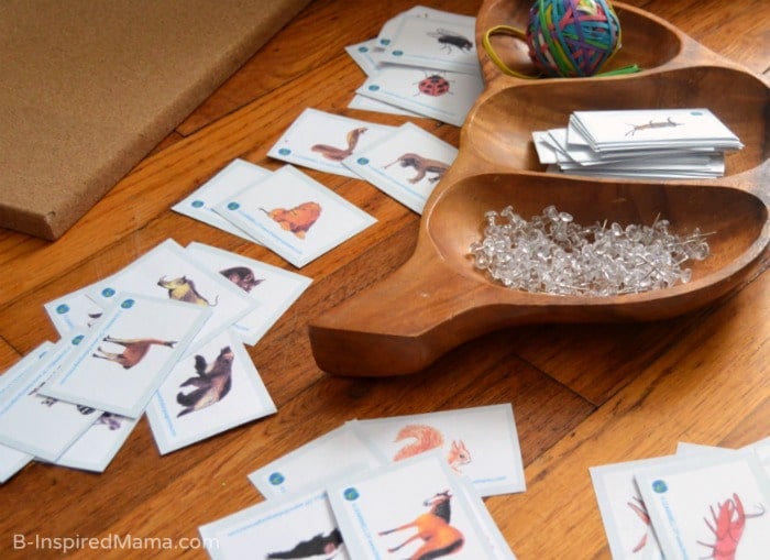 Sorting Cards for a Hands on Food Web Board - Science for Kids at B-Inspired Mama