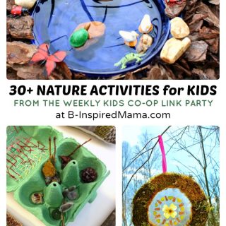 30+ Nature Crafts and Activities for Kids + The Weekly Kids Co-Op Link Party at B-Inspired Mama
