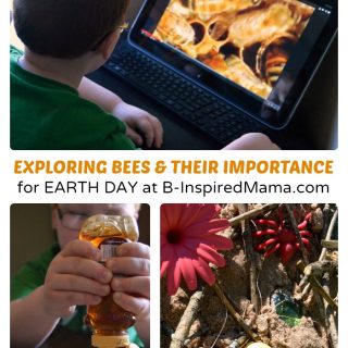 Why Are Bees Important Play & Learning Ideas for Earth Day at B-Inspired Mama