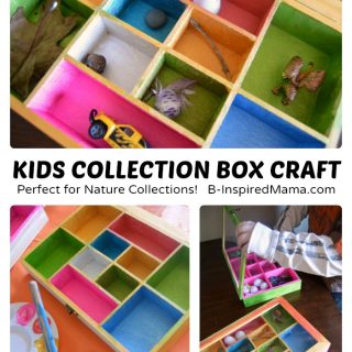 Collection Box Kids Craft - Perfect for Nature Collections - at B-Inspired Mama