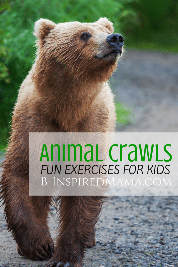 Animal Crawls - Fun Exercises for Kids at B-Inspired Mama