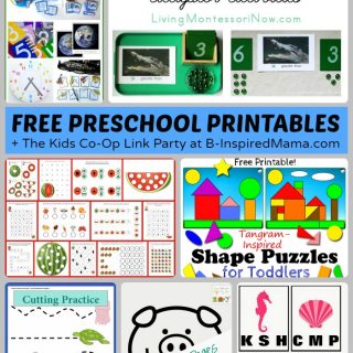 Tons of Free Preschool Worksheets and Printables + The Kids Co-Op Link Party at B-Inspired Mama