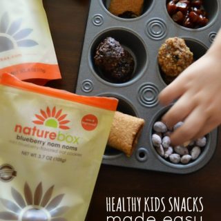 Healthy Kids Snacks Made Easy - #sponsored #natureboxsnacks #clevergirls at B-Inspired Mama