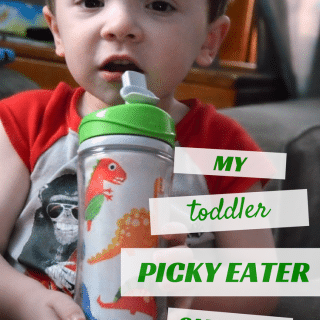 My Toddler Picky Eater Game Plan