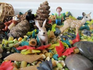 Forest Friends Sensory Tub + More Autumn Animal Activities at B-Inspired Mama