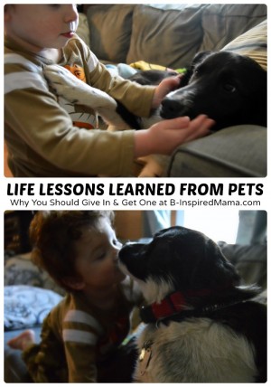 Life Lessons for Kids from their Pets [#sponsored #SwifferEffect] at B-Inspired Mama