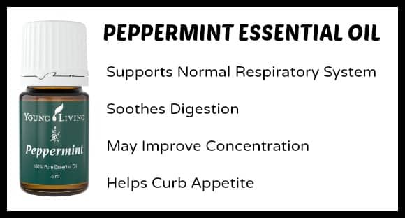 Peppermint Essential Oils Uses for Moms and Kids at B-Inspired Mama