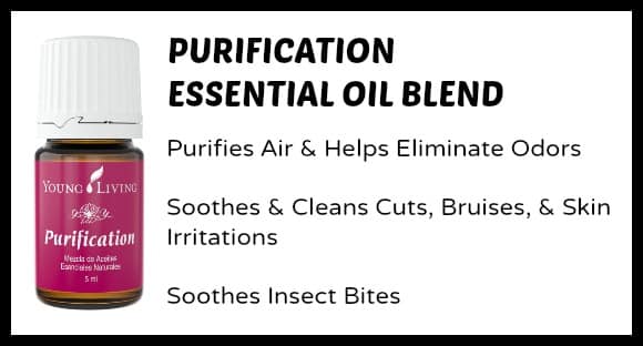 Purification Essential Oil Uses for Moms and Kids at B-Inspired Mama