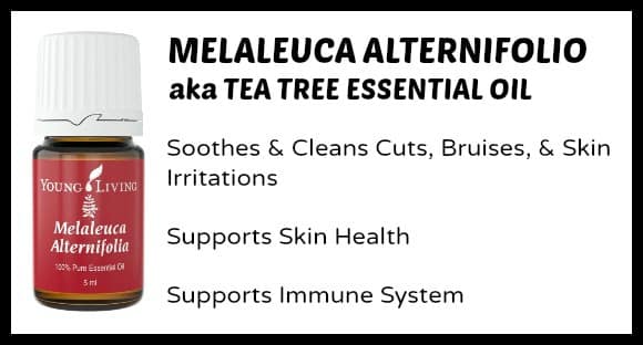 Tea Tree Essential Oil Uses for Moms & Kids at B-Inspired Mama