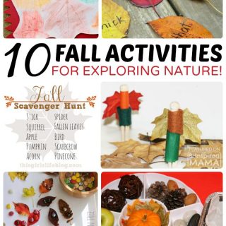 10+ Fall Kids Activities for Exploring Nature at B-Inspired Mama