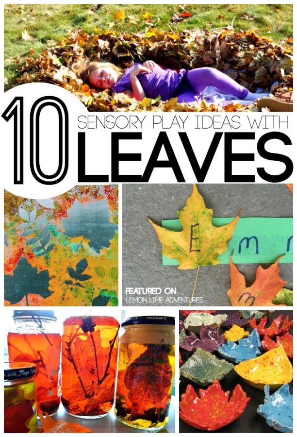The Fall Nature Activity 10+ Fall Kids Activities for Exploring Nature