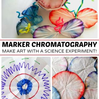 Marker Chromatography Science Experiment for Kids - Combining Art and Science at B-Inspired Mama