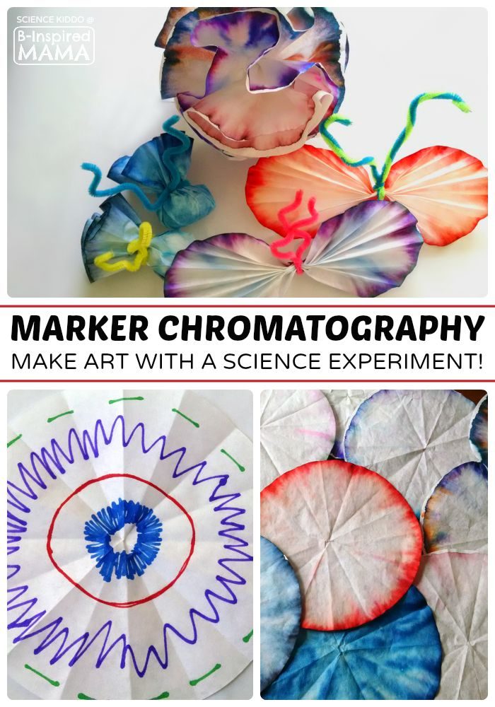A collage of 3 photos of the steps of an easy Marker Chromatography Experiment for kids, including one photo of colorful dyed coffee filters turned into flower and butterfly crafts.