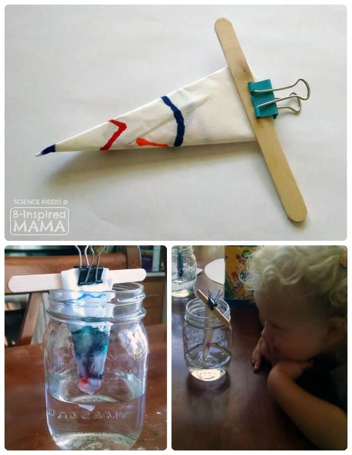 A collage of 3 photos of the steps of an easy Marker Chromatography Experiment for kids. One photo shows a folded coffee filter, decorated with colorful markers, clipped onto a wooden craft stick. Another photo shows the craft stick laying across the rim of a glass mason jar, holding the folded coffee filter triangle inside the jar with its pointed end in water at the bottom of the jar. The last photo shows a young child watching the jar experiment as the water is absorbed up into the folded coffee filter.
