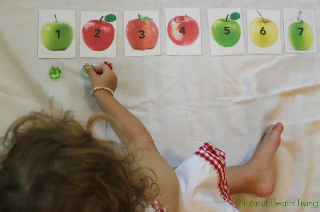 A photo of a young preschool child using printable activity cards featuring Fall apples and numbers to practice counting and early math skills.