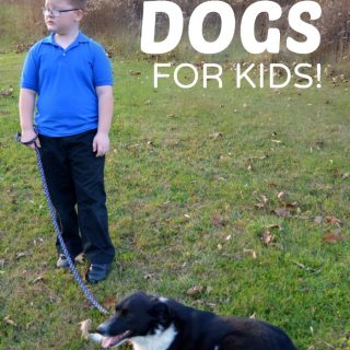 Developmental Benefits of Having a Dog for Kids - Sawyer and Olive - at B-Inspired Mama