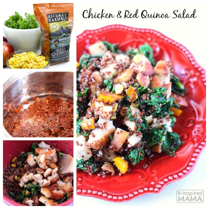 Quicken and Red Quinoa Salad - Yummy Warm or Cold - B-Inspired Mama