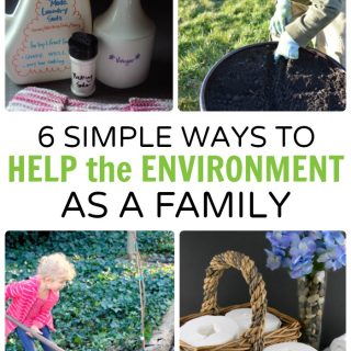 6 Simple Ways to Help the Environment - as a Family - at B-Inspired Mama