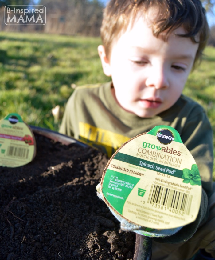 Planting a Pizza Garden in a DIY Pizza Garden Planter - Checking out our Miracle-Gro Gro-ables - at B-Inspired Mama